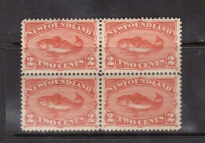 Newfoundland #48 XF Mint Block  **With Certificate**