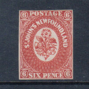 Newfoundland #6 Mint **With Certificate**