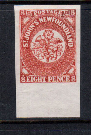 Newfoundland #8 Mint Superb With Huge Margins **With Certificate**
